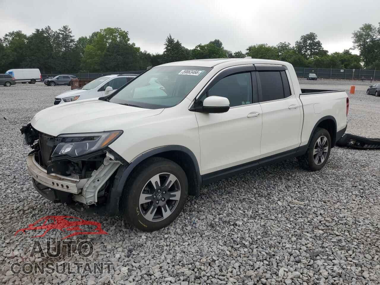 HONDA RIDGELINE 2019 - 5FPYK3F5XKB028692