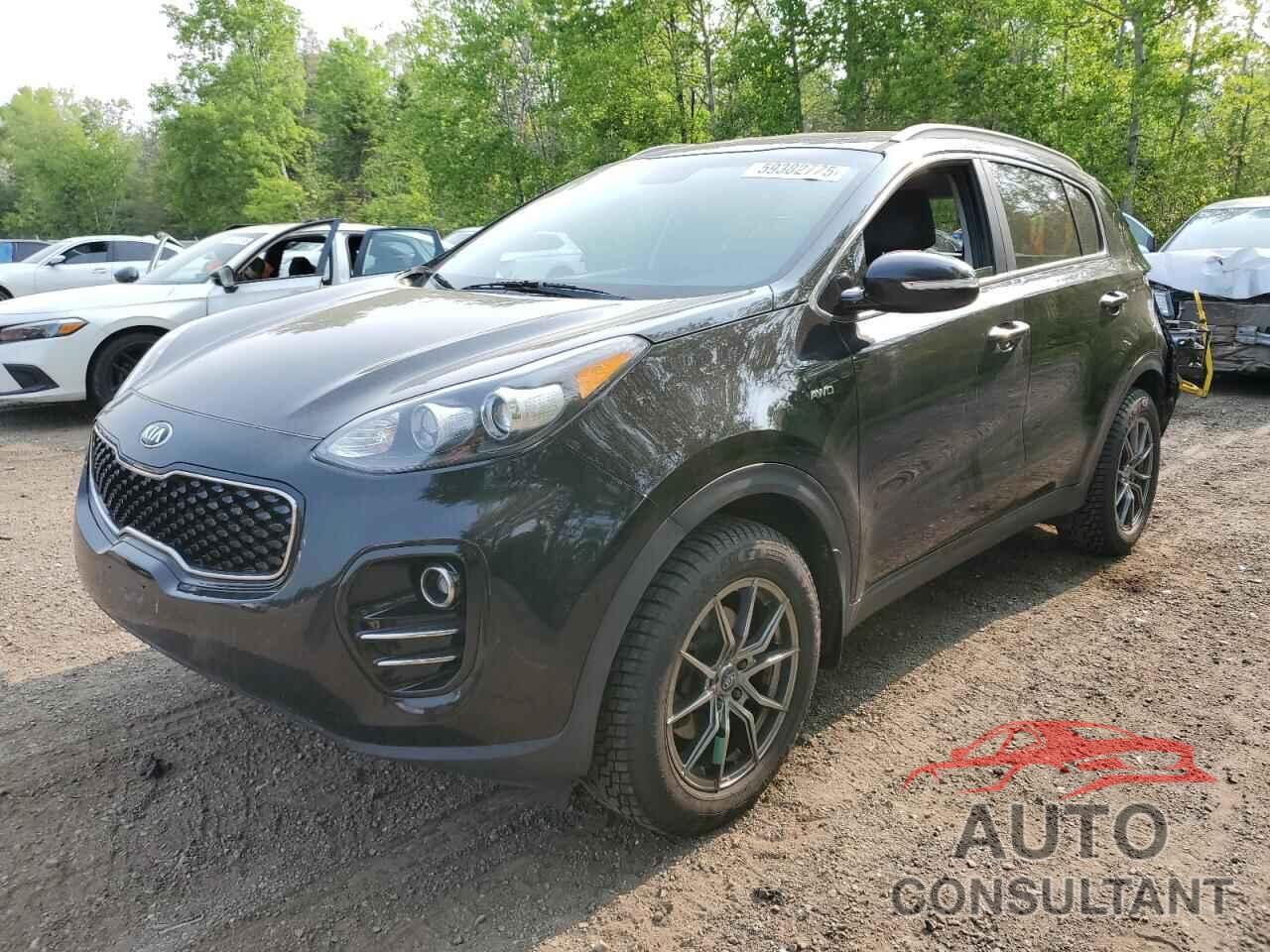 KIA SPORTAGE 2018 - KNDPNCAC6J7438010
