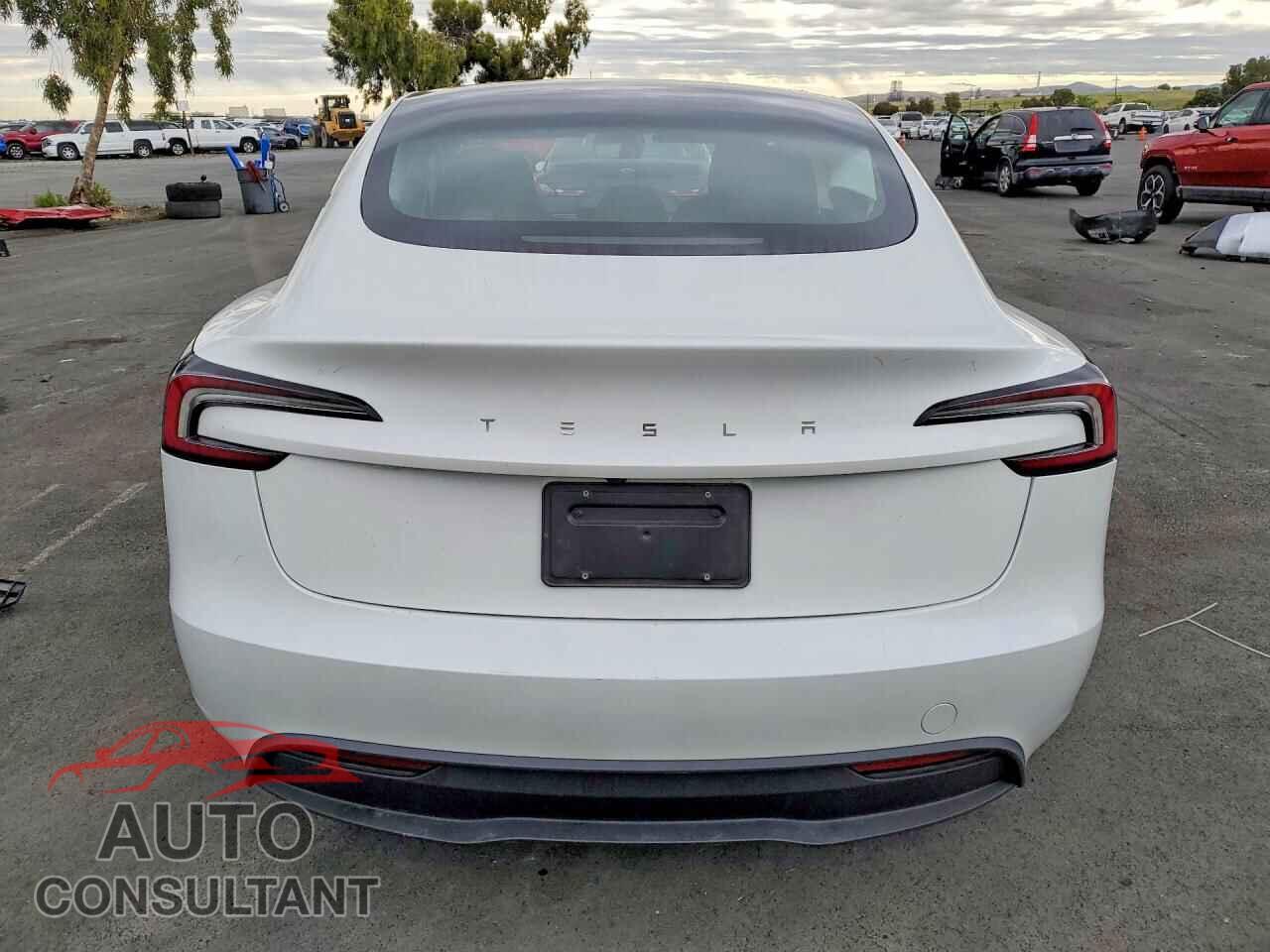 TESLA MODEL 3 2024 - 5YJ3E1EA5RF731799