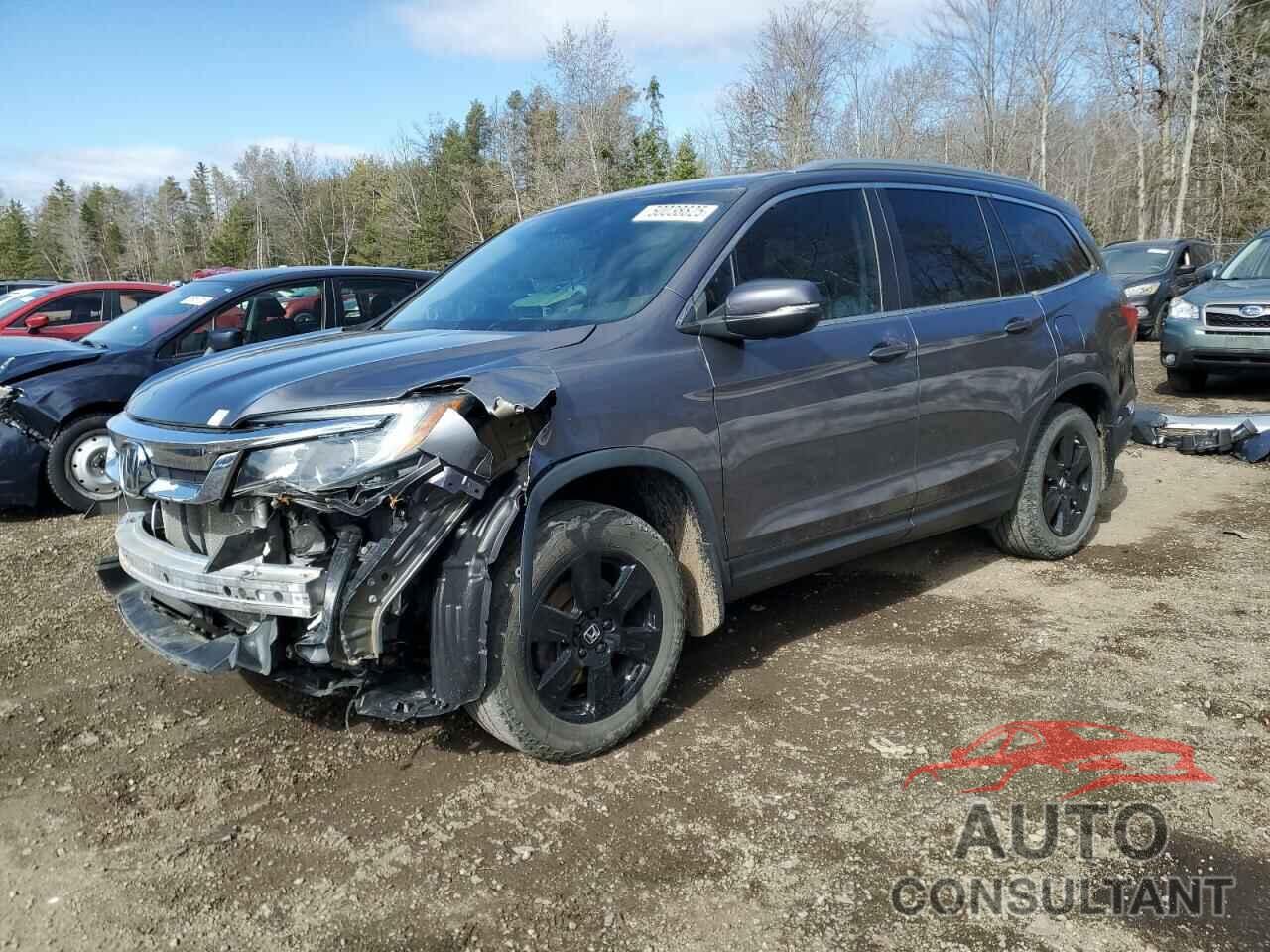 HONDA PILOT 2019 - 5FNYF6H7XKB508390