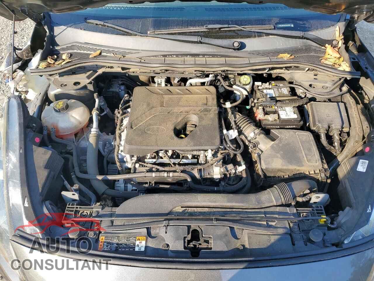 FORD ESCAPE 2020 - 1FMCU0F60LUA23994