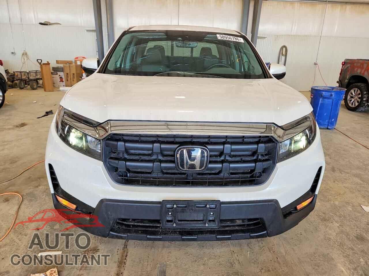 HONDA RIDGELINE 2024 - 5FPYK3F58RB005132