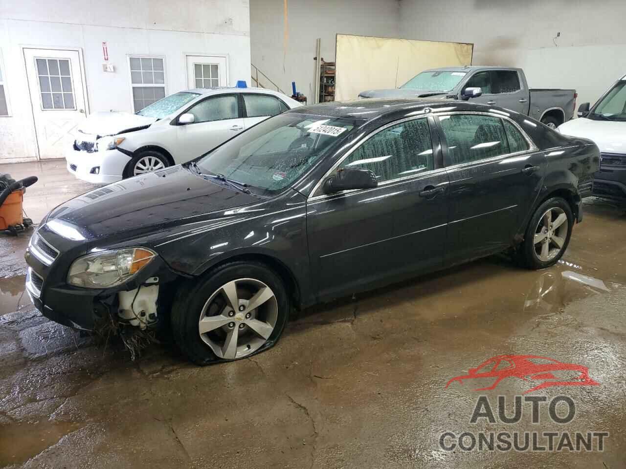 CHEVROLET MALIBU 2011 - 1G1ZC5E19BF181802