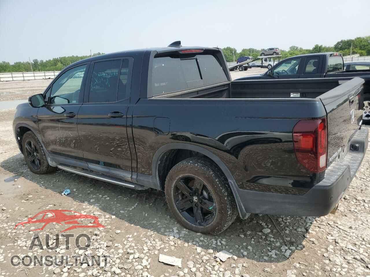 HONDA RIDGELINE 2021 - 5FPYK3F89MB010603