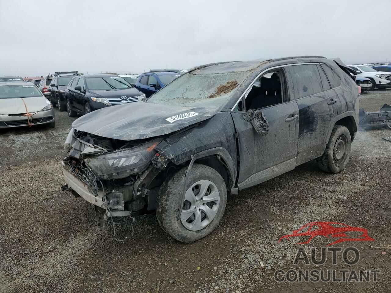 TOYOTA RAV4 2019 - 2T3F1RFV2KW065705