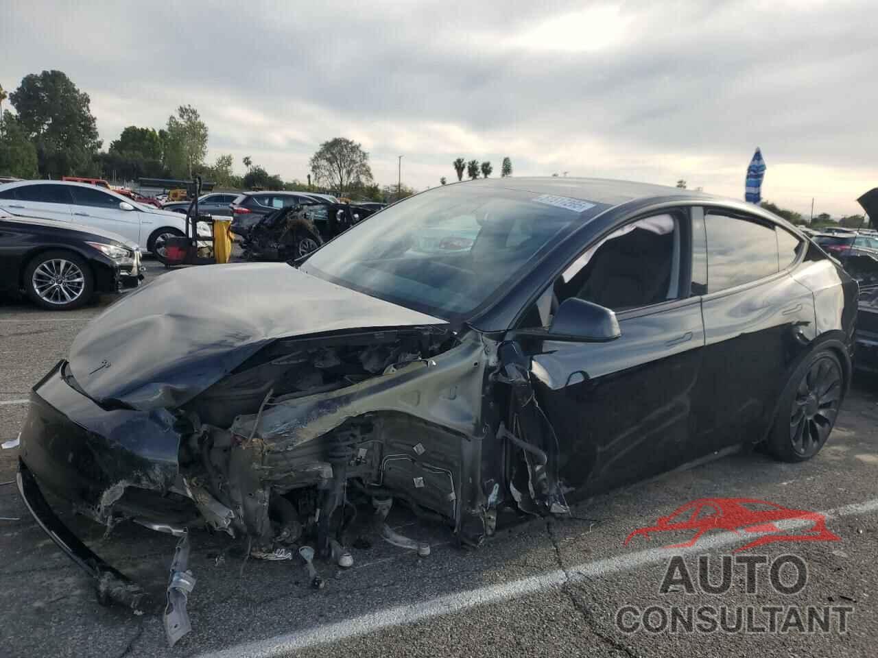 TESLA MODEL Y 2022 - 7SAYGDEF9NF455508