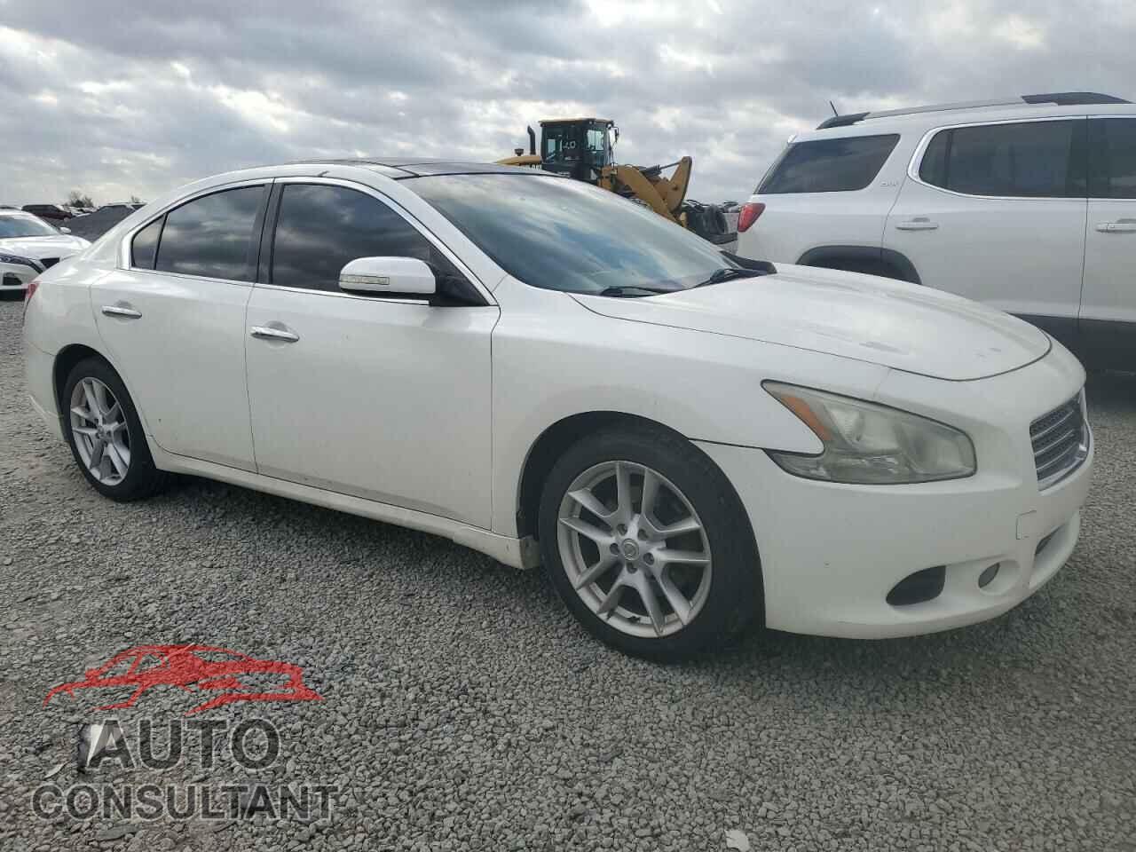 NISSAN MAXIMA 2009 - 1N4AA51EX9C835873