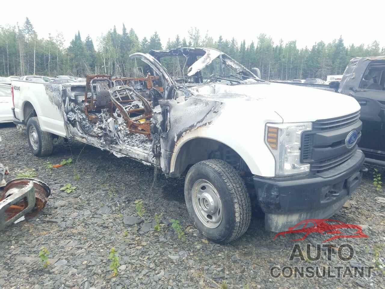 FORD F250 2019 - 1FT7W2BT0KEE69188