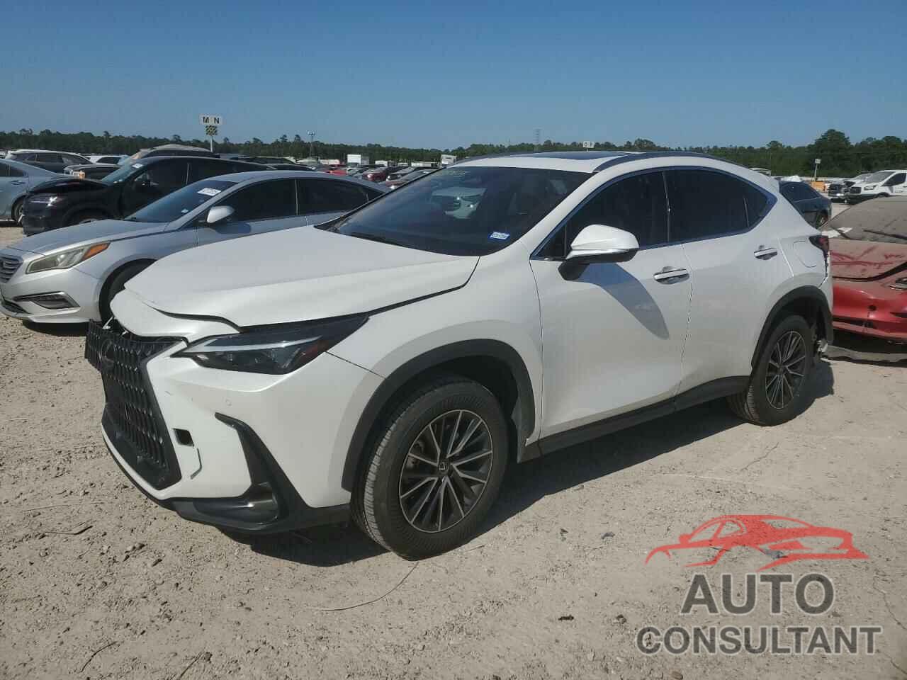LEXUS NX 350 PRE 2024 - JTJGGCEZ9R5009666