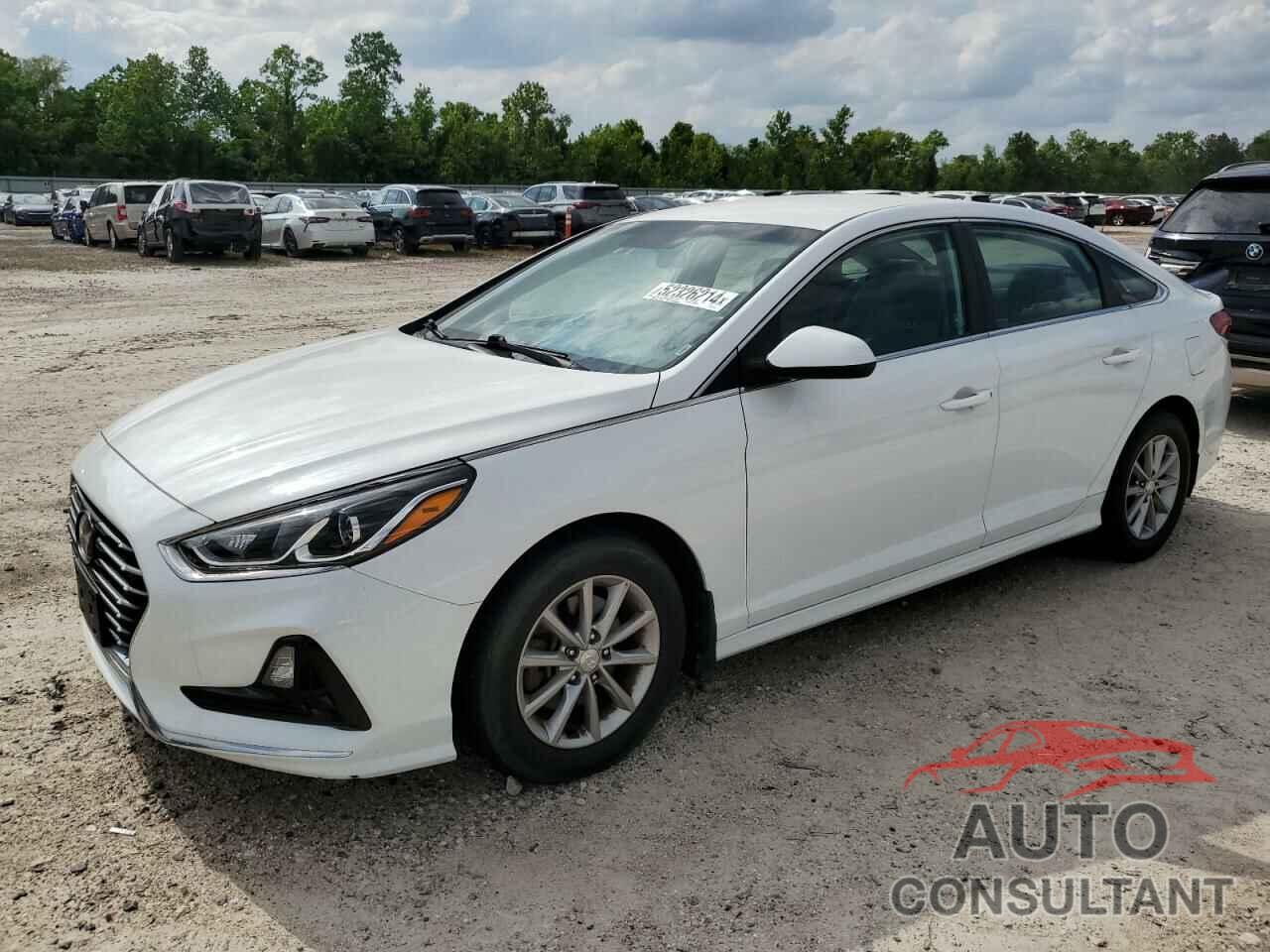 HYUNDAI SONATA 2018 - 5NPE24AF1JH688105