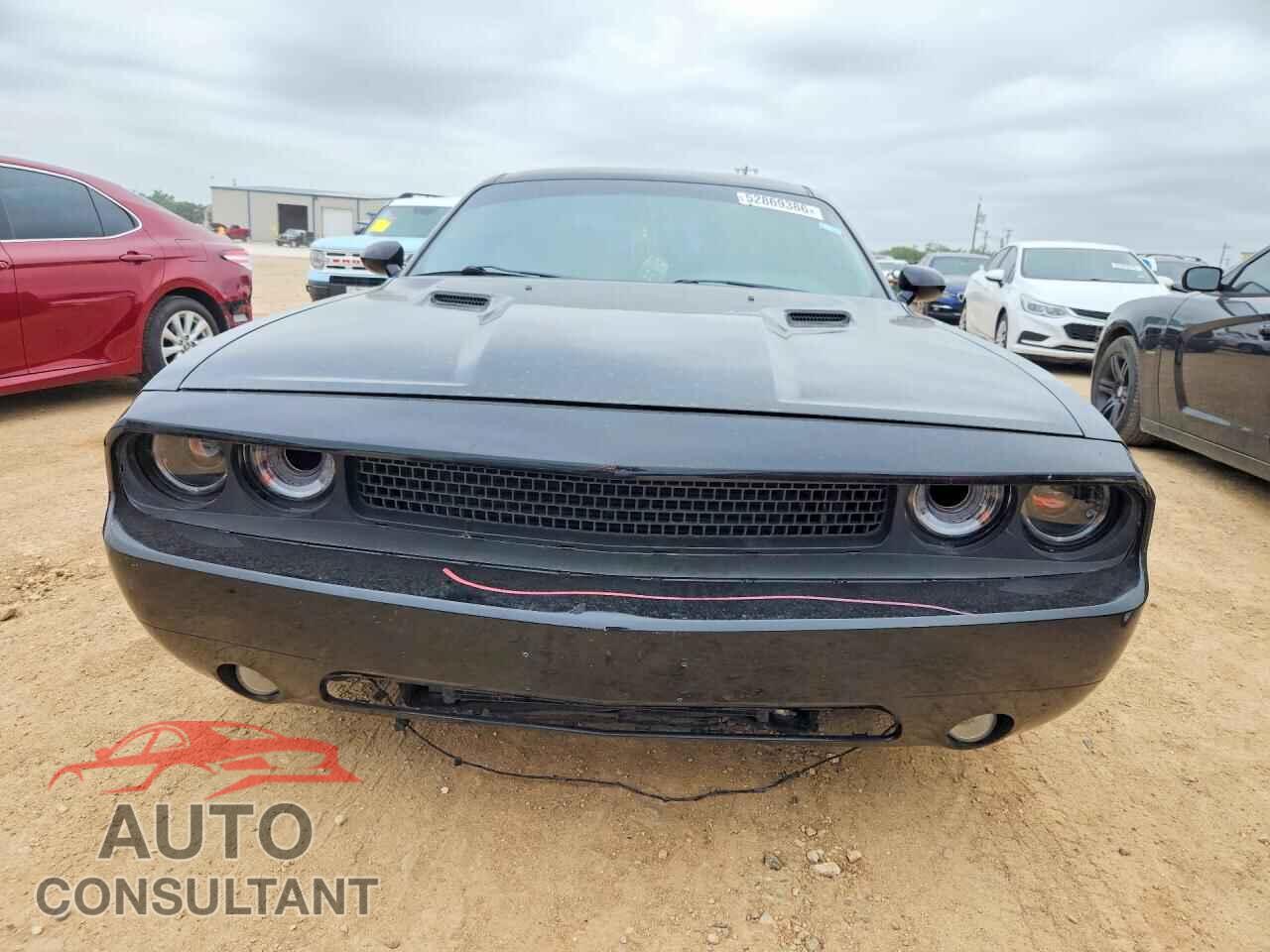 DODGE CHALLENGER 2014 - 2C3CDYAG0EH133330