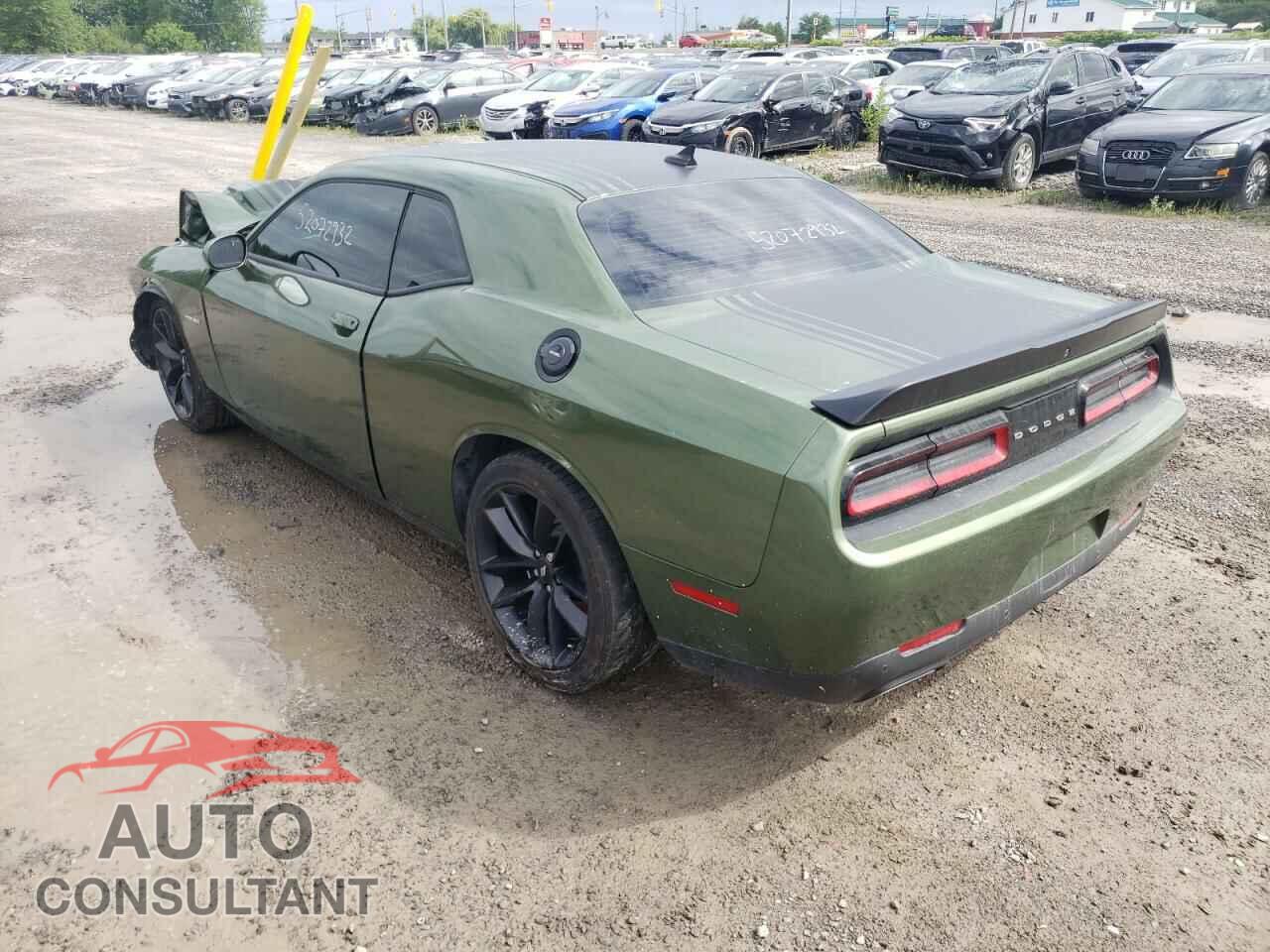 DODGE CHALLENGER 2020 - 2C3CDZBT8LH175744