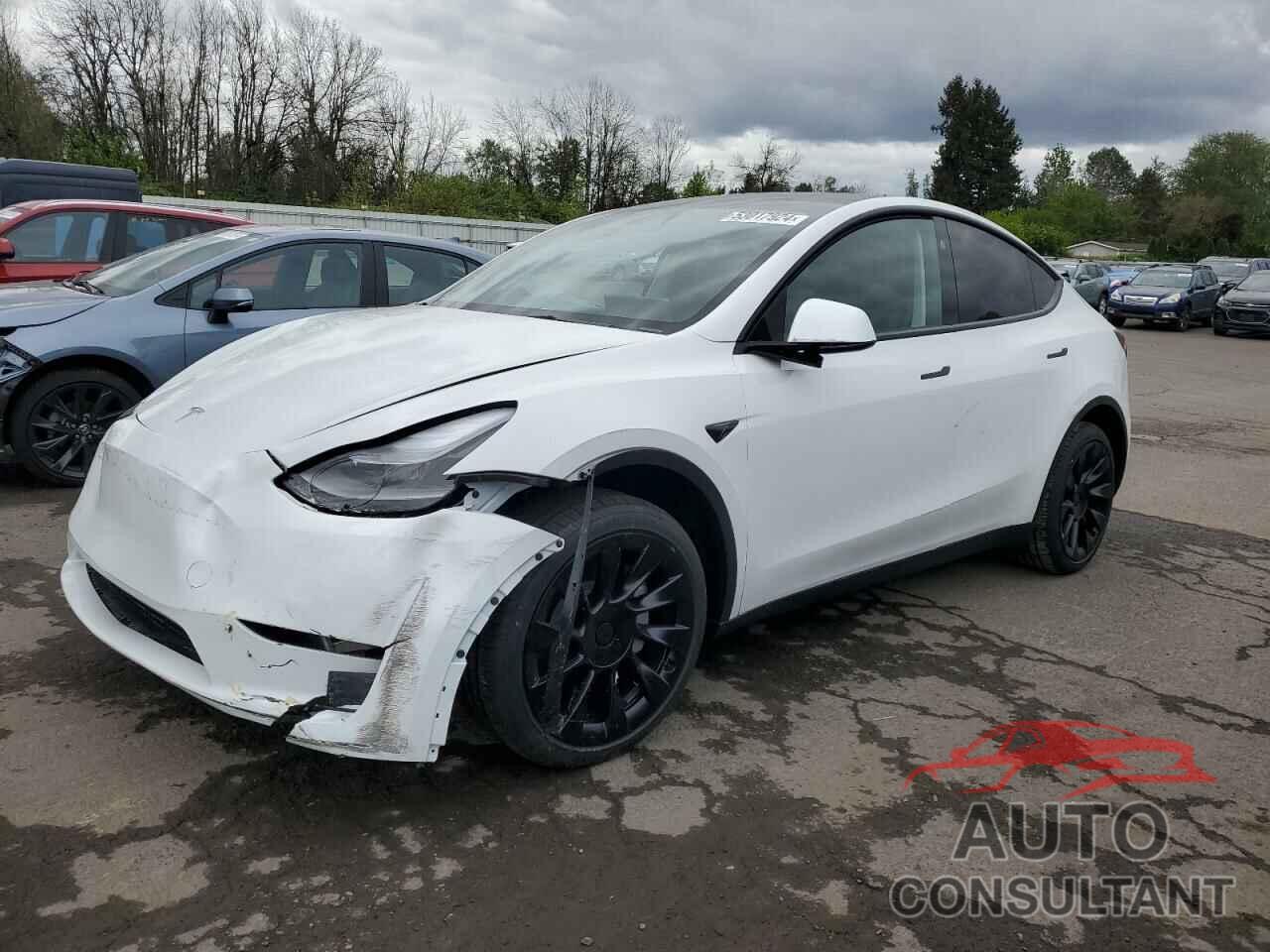 TESLA MODEL Y 2024 - 7SAYGAEE6RF985642