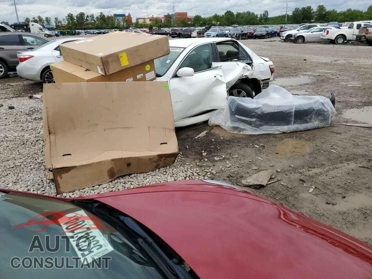 TESLA MODEL 3 2019 - 5YJ3E1EB6KF365477
