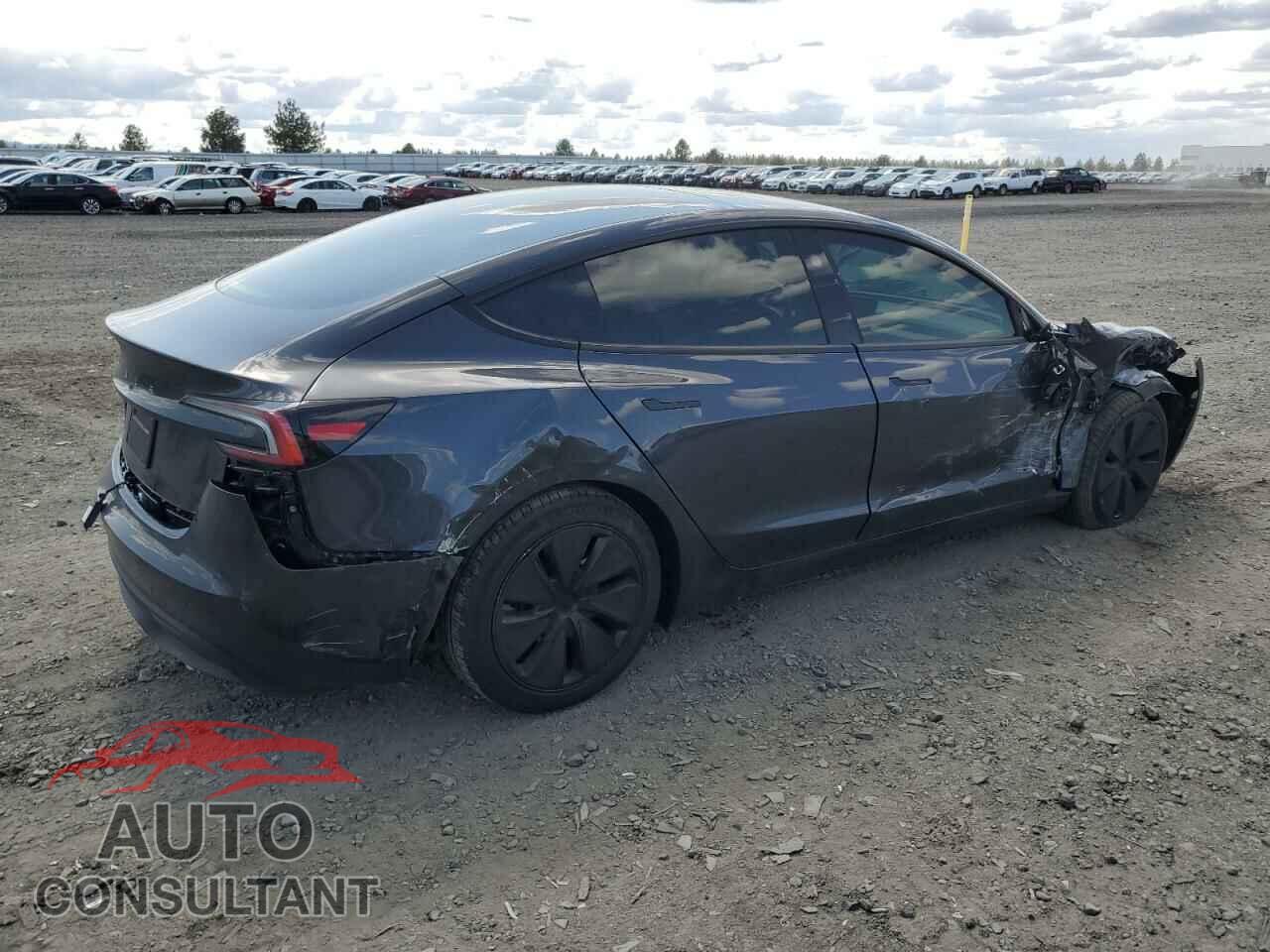 TESLA MODEL 3 2024 - 5YJ3E1EA9RF824518