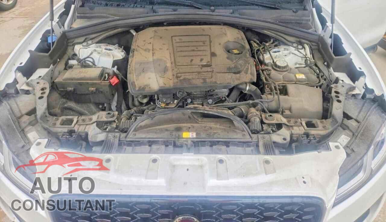 JAGUAR F-PACE 2023 - SADCJ2EX6PA707267