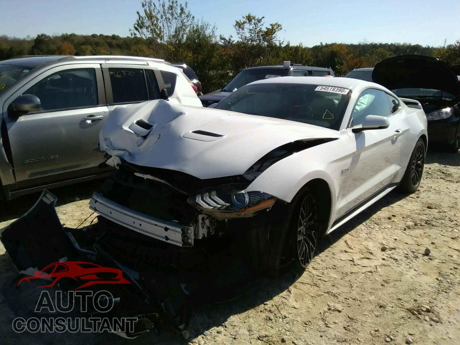 FORD MUSTANG 2019 - 1FA6P8CF4K5111456