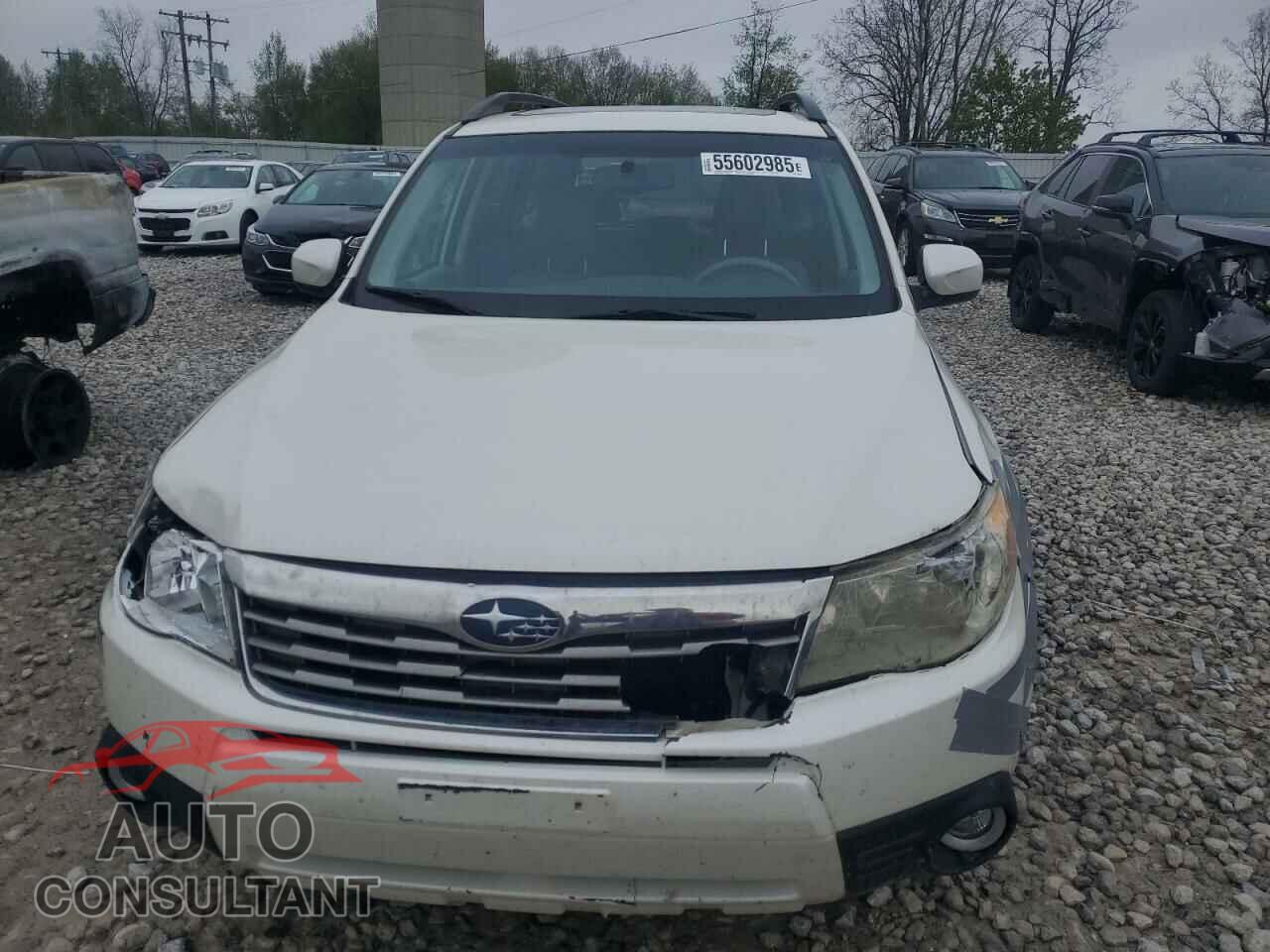 SUBARU FORESTER 2010 - JF2SH6DC3AH702021