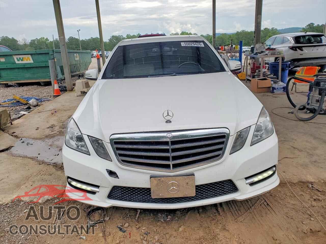 MERCEDES-BENZ E-CLASS 2013 - WDDHF8JBXDA731704