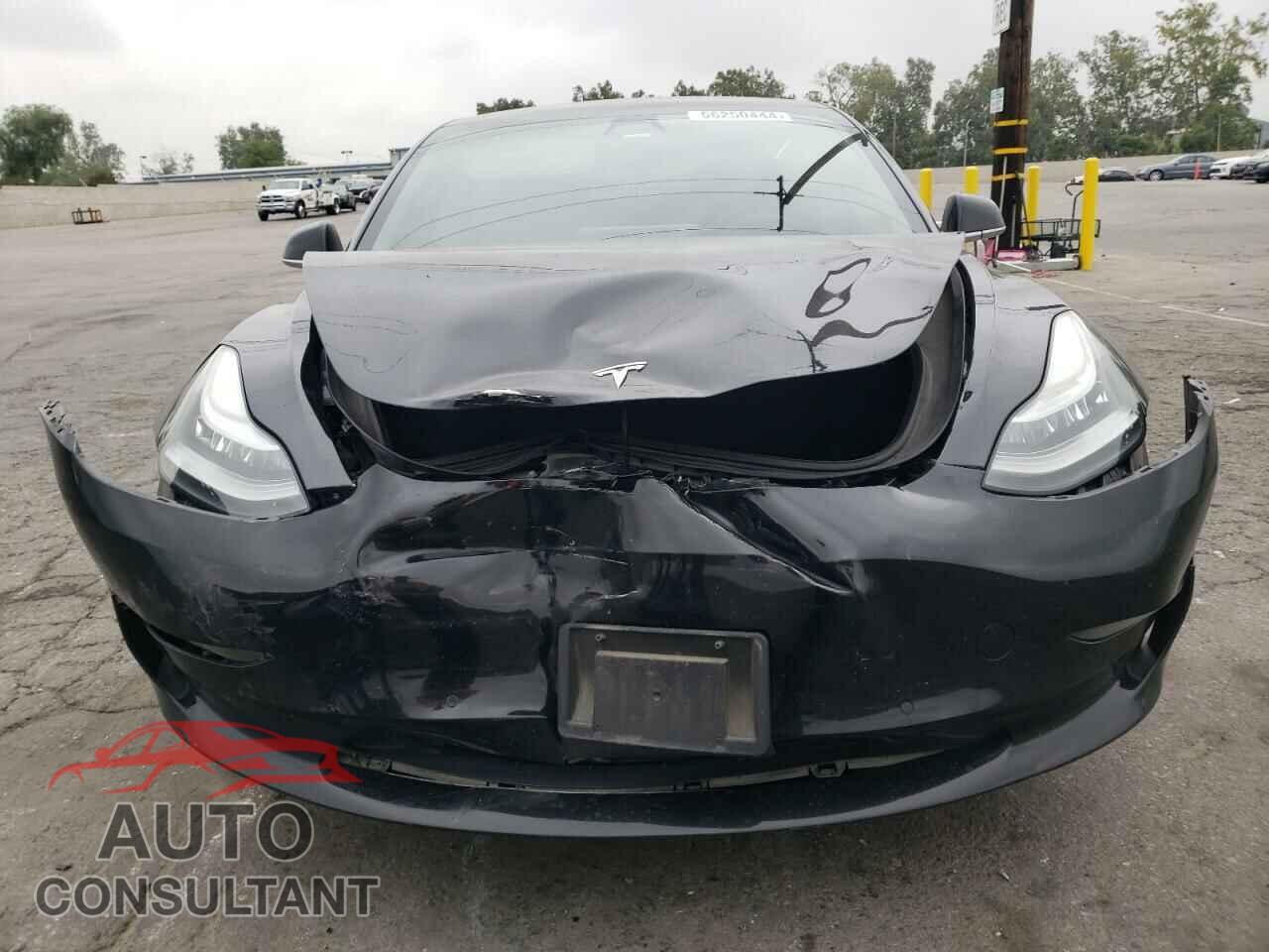 TESLA MODEL 3 2019 - 5YJ3E1EA5KF307075