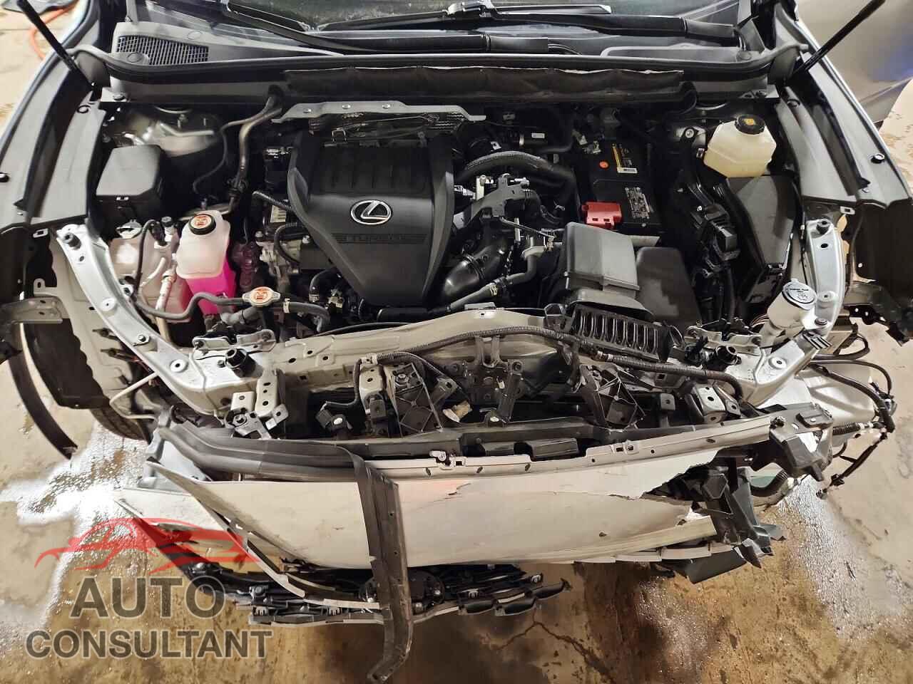 LEXUS RX350 2023 - 2T2BAMCA5PC010875