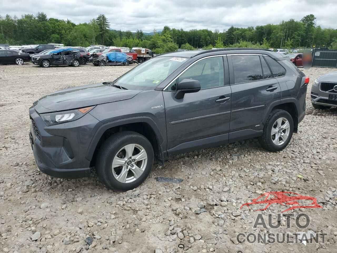 TOYOTA RAV4 2019 - 2T3LWRFV6KW036826