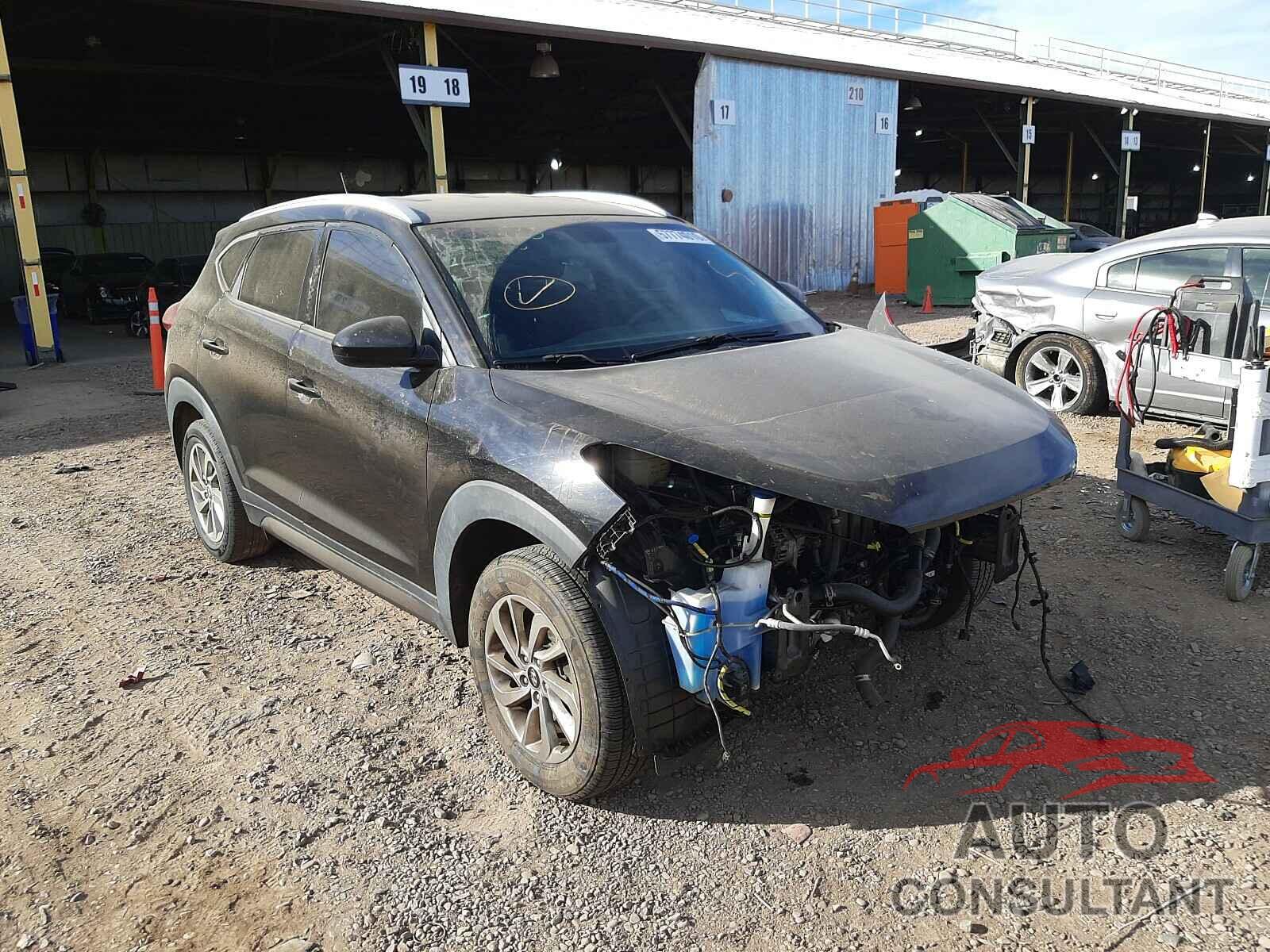 HYUNDAI TUCSON 2016 - KM8J33A45GU026431
