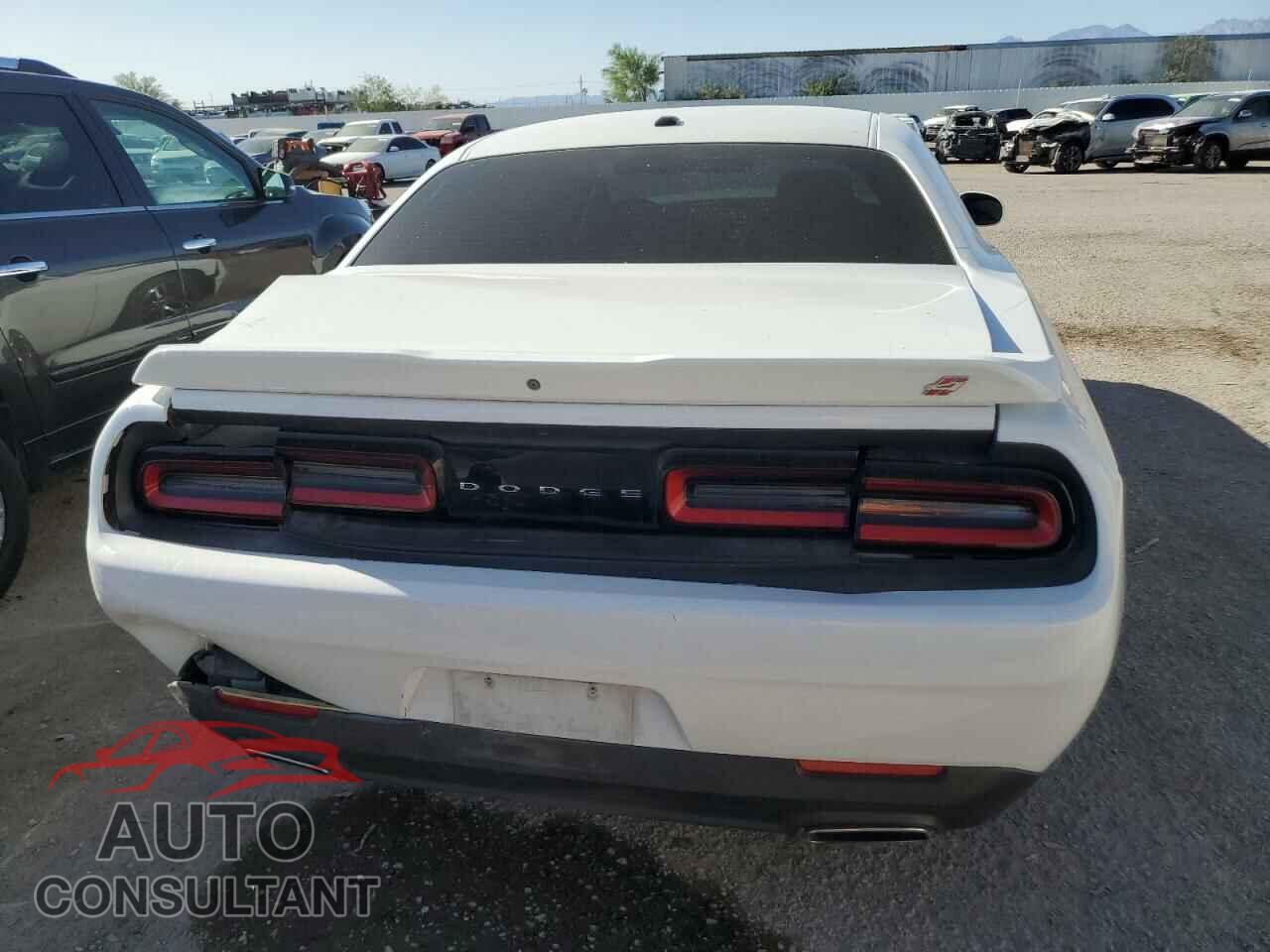 DODGE CHALLENGER 2019 - 2C3CDZGGXKH616686