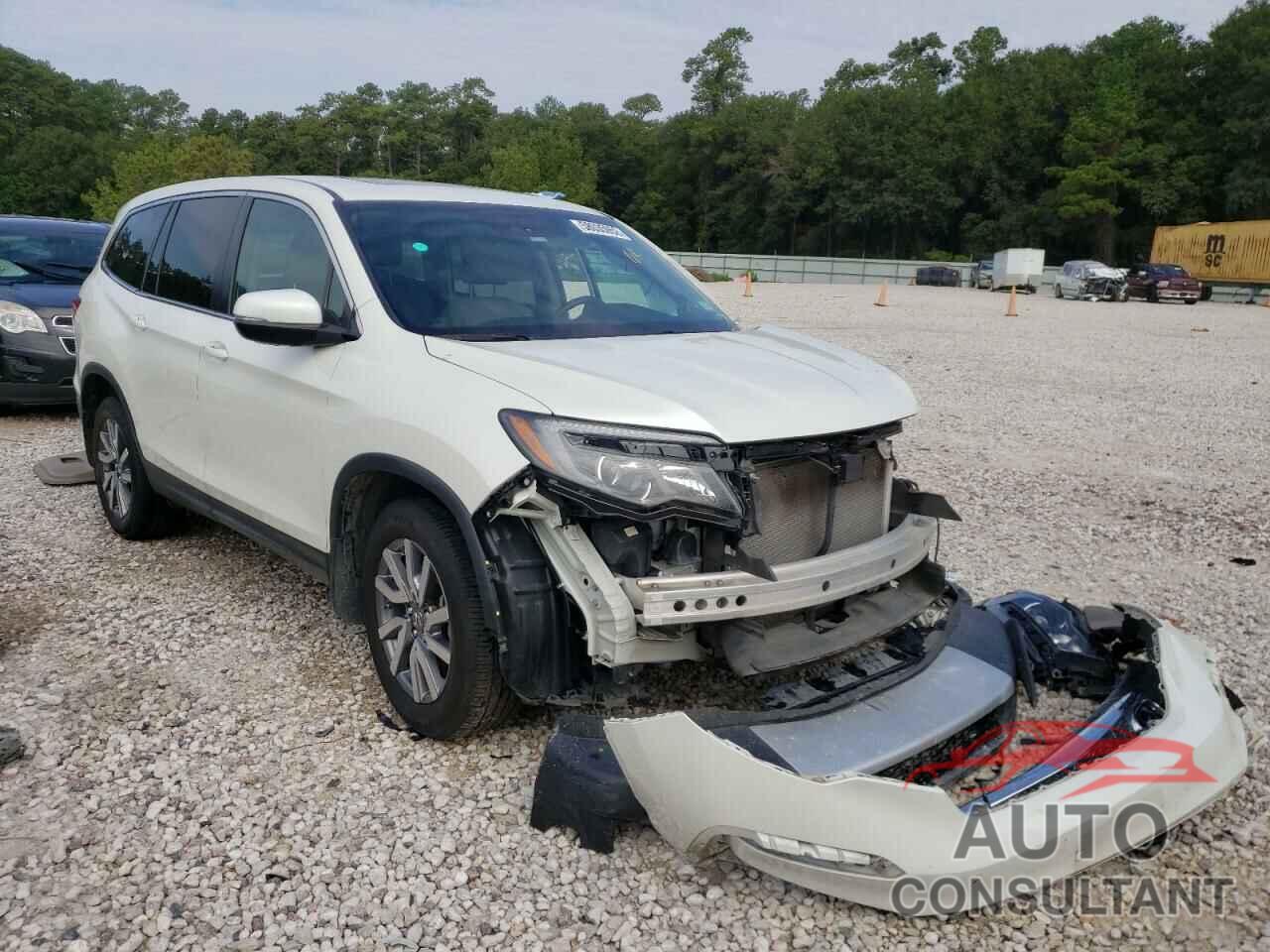 HONDA PILOT 2019 - 5FNYF5H43KB009687