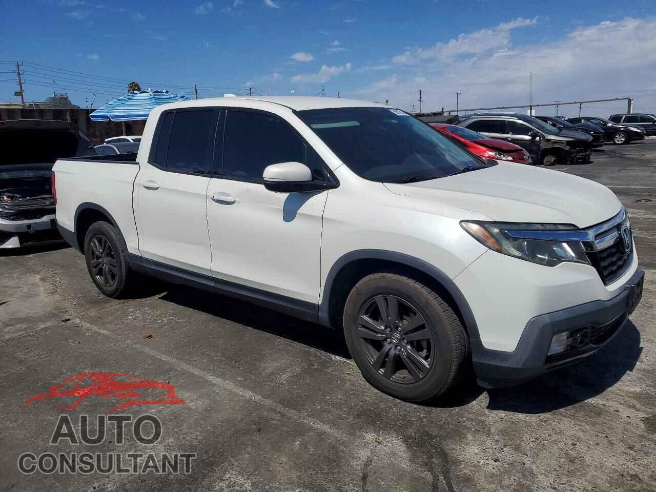 HONDA RIDGELINE 2019 - 5FPYK2F1XKB008577