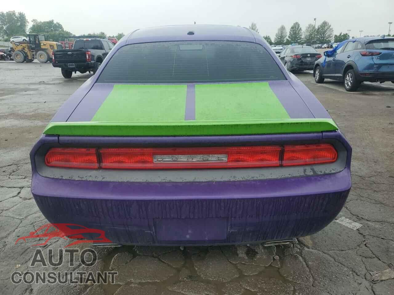 DODGE CHALLENGER 2010 - 2B3CJ5DTXAH314992