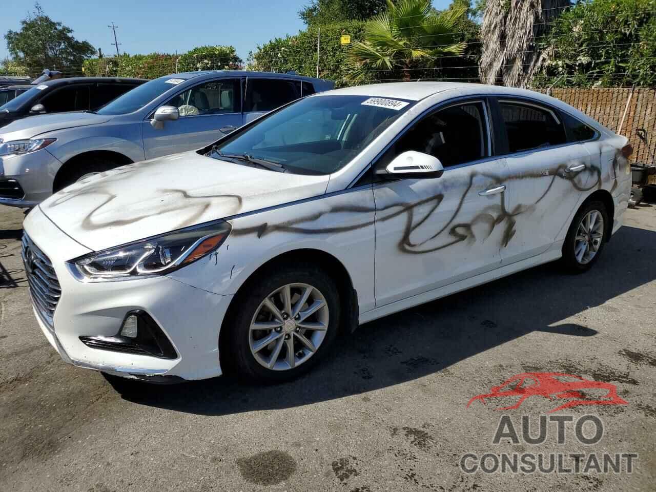 HYUNDAI SONATA 2019 - 5NPE24AF9KH806421