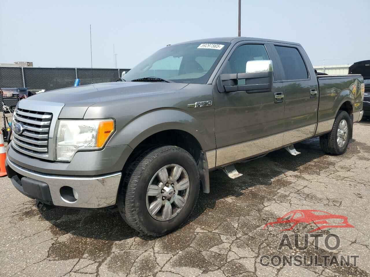 FORD F-150 2010 - 1FTFW1EV6AFA79868