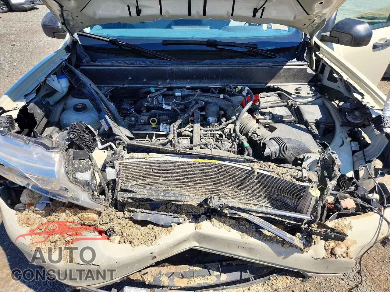 FORD MAVERICK 2024 - 3FTTW8J99RRB00859