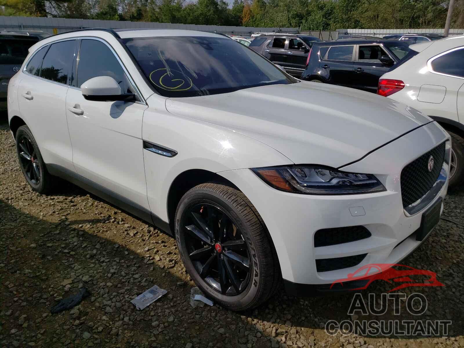 JAGUAR F-PACE 2017 - SADCK2BV2HA073229