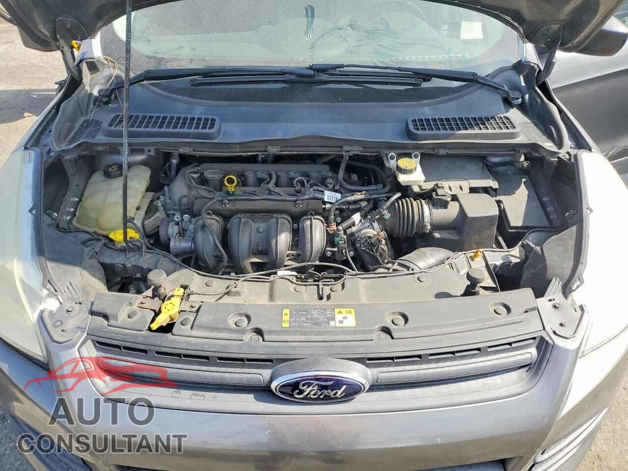FORD ESCAPE 2014 - 1FMCU0F73EUD61868