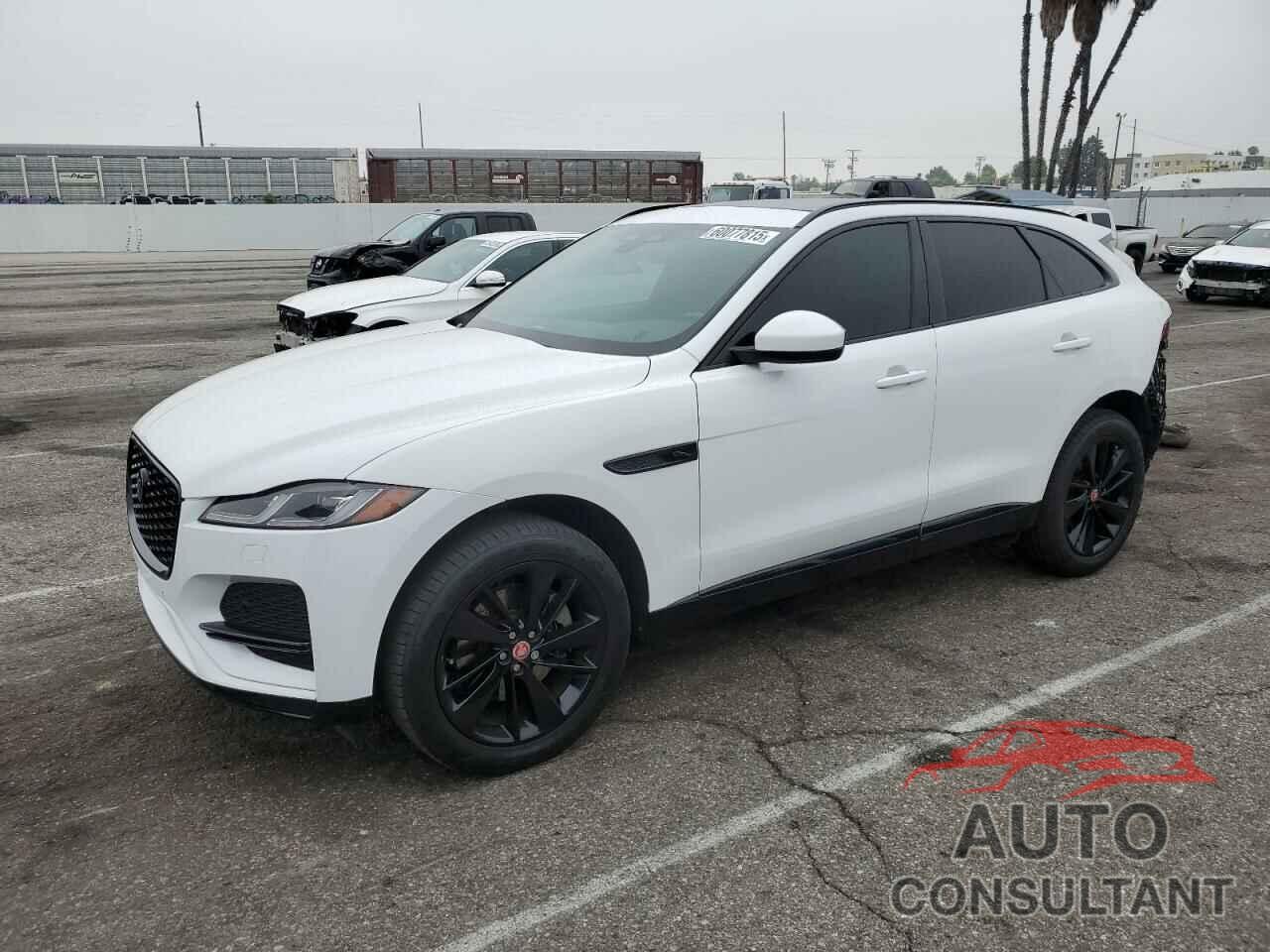 JAGUAR F-PACE 2023 - SADCJ2EX7PA711697