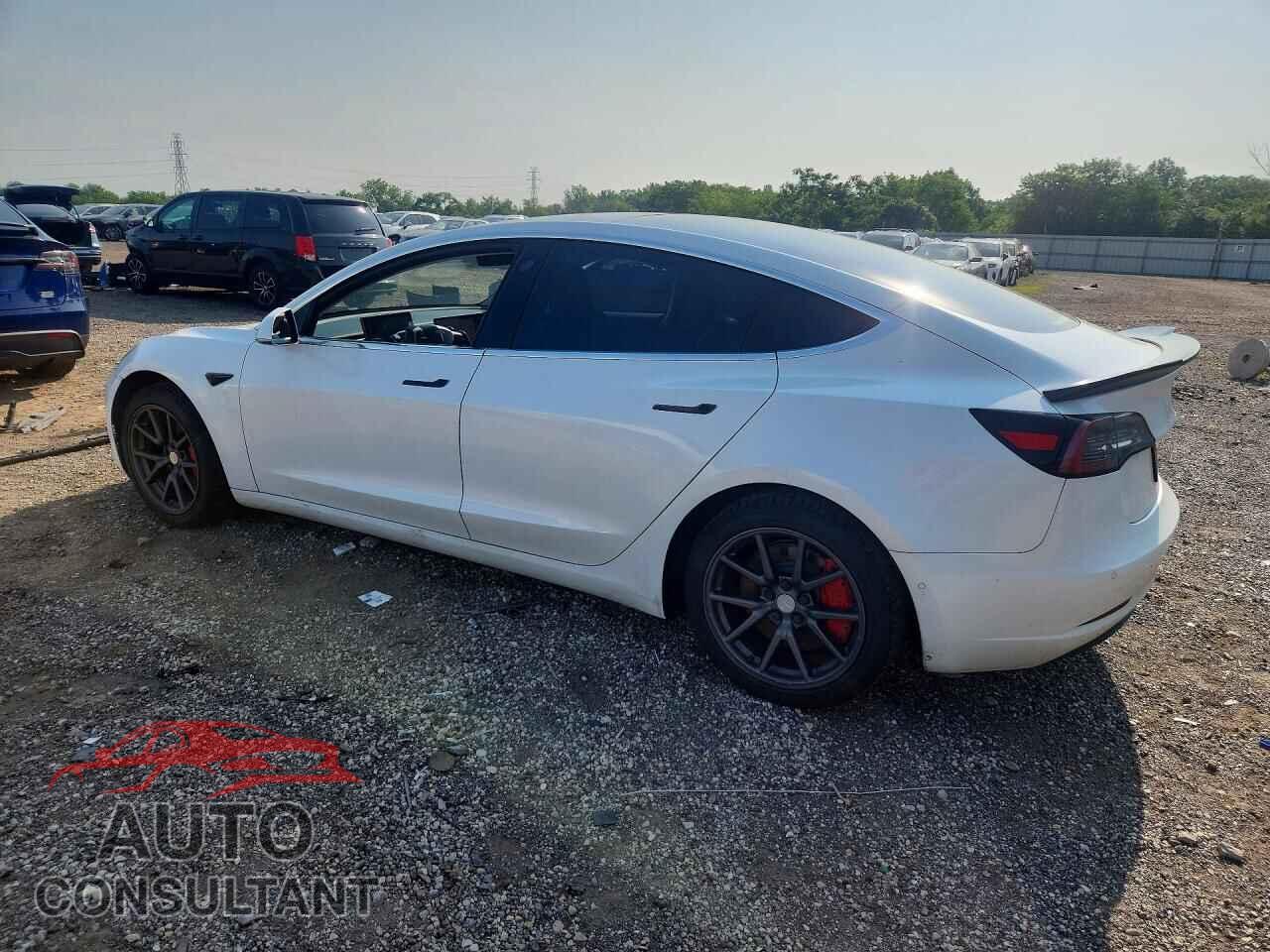 TESLA MODEL 3 2019 - 5YJ3E1EA4KF482966