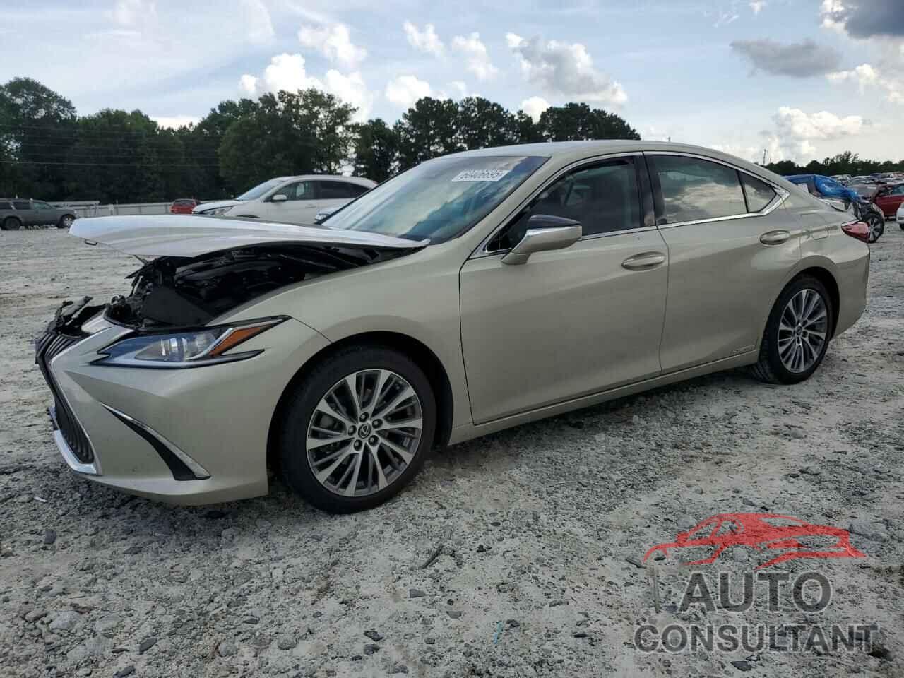 LEXUS ES300 2020 - 58AD21B12LU008691
