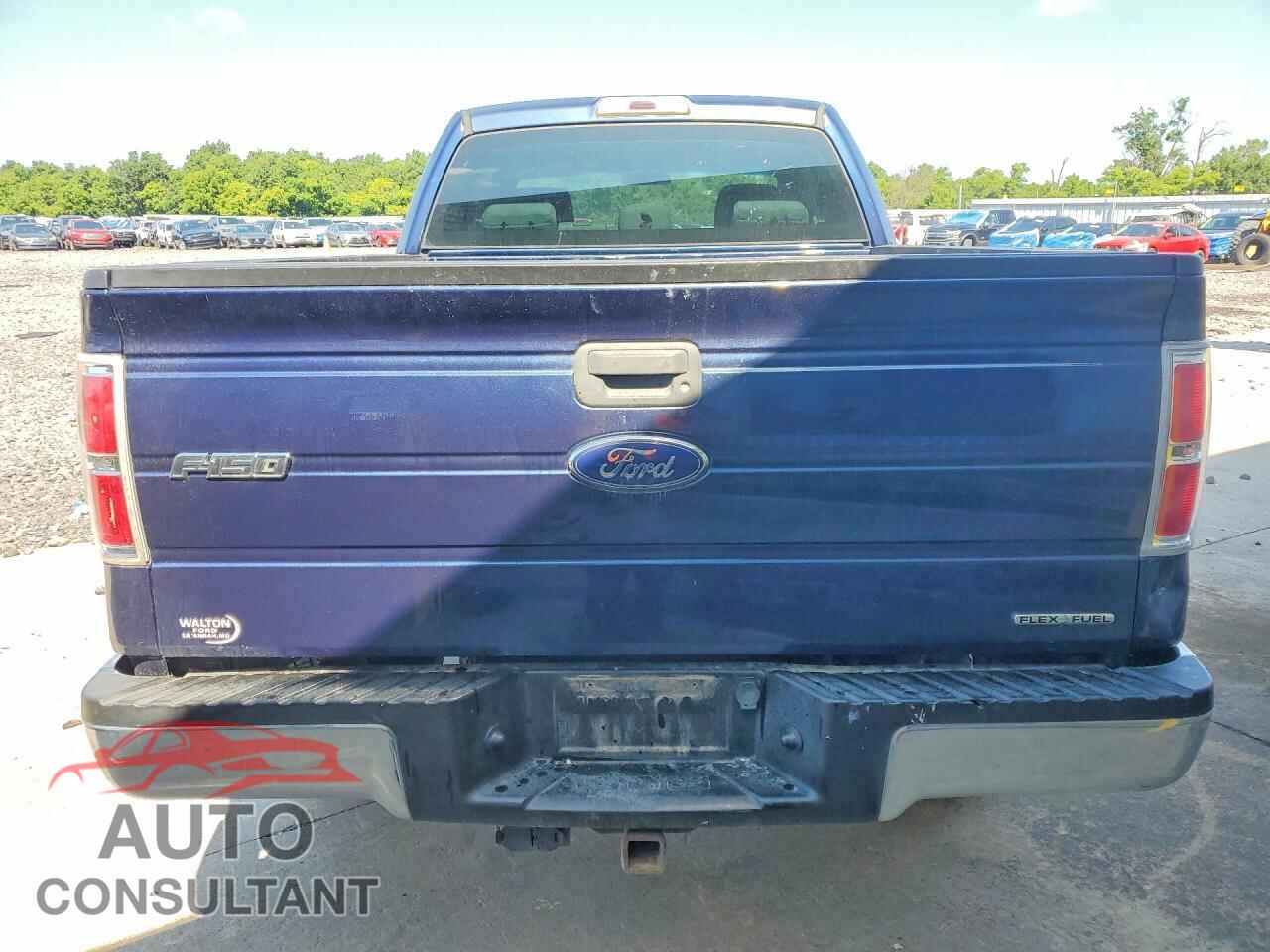 FORD F150 2014 - 1FTFX1EF0EFB33144