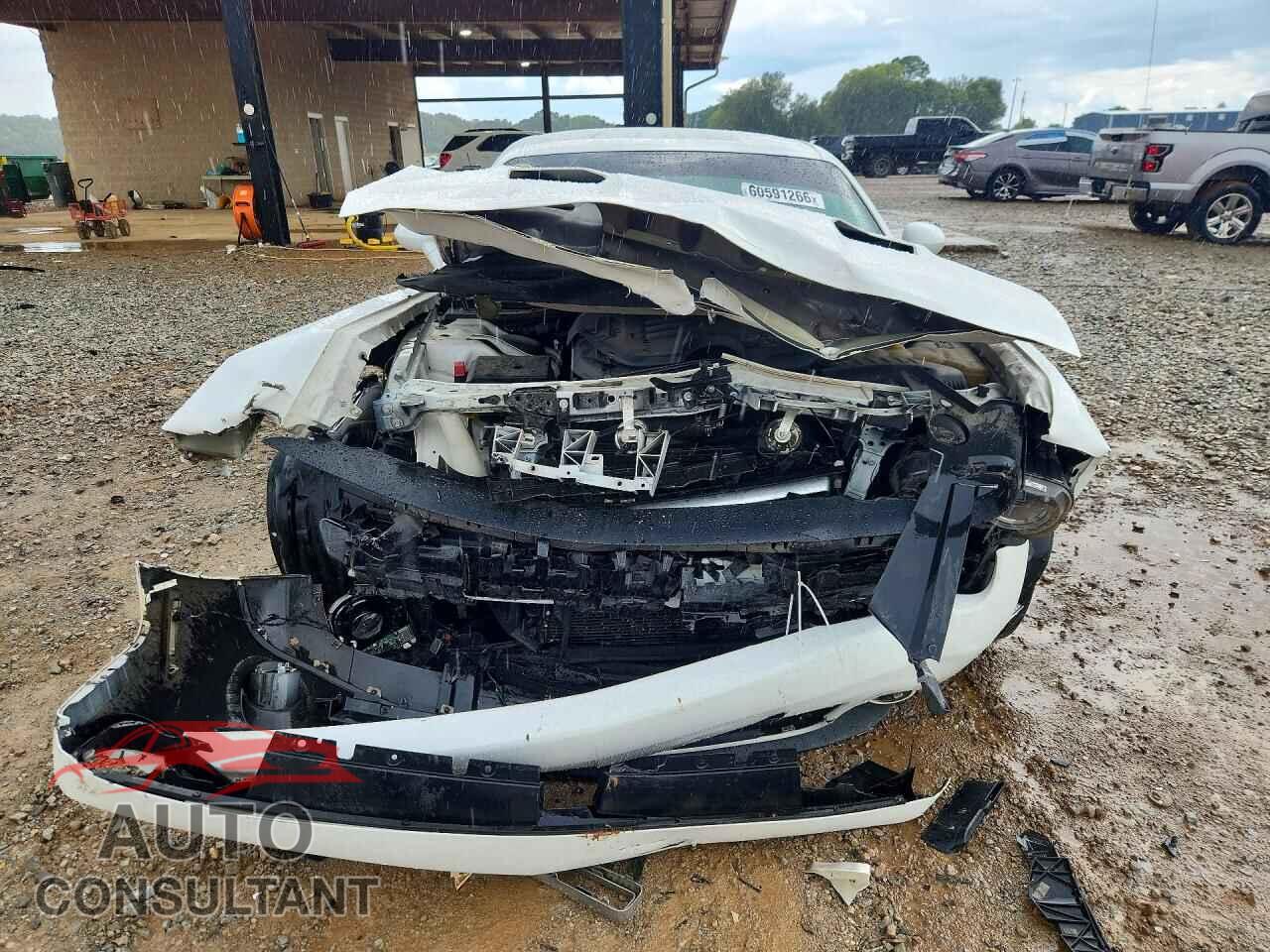 DODGE CHALLENGER 2019 - 2C3CDZAG0KH675206
