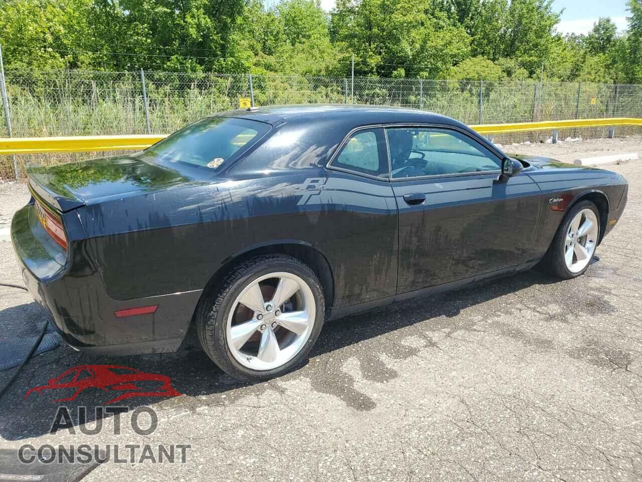DODGE CHALLENGER 2014 - 2C3CDYBT3EH148660