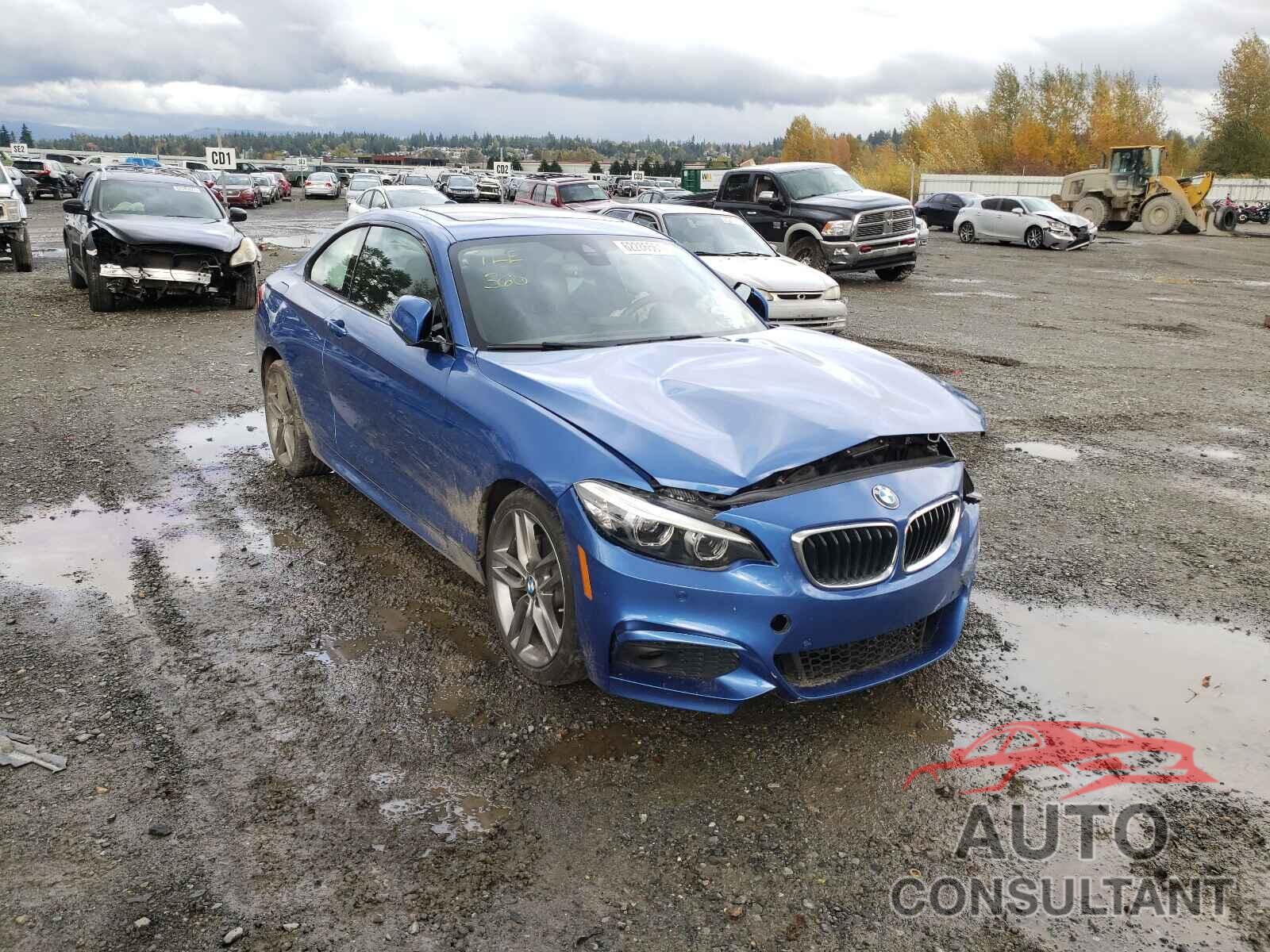 BMW 2 SERIES 2019 - WBA2J3C56KVD49376