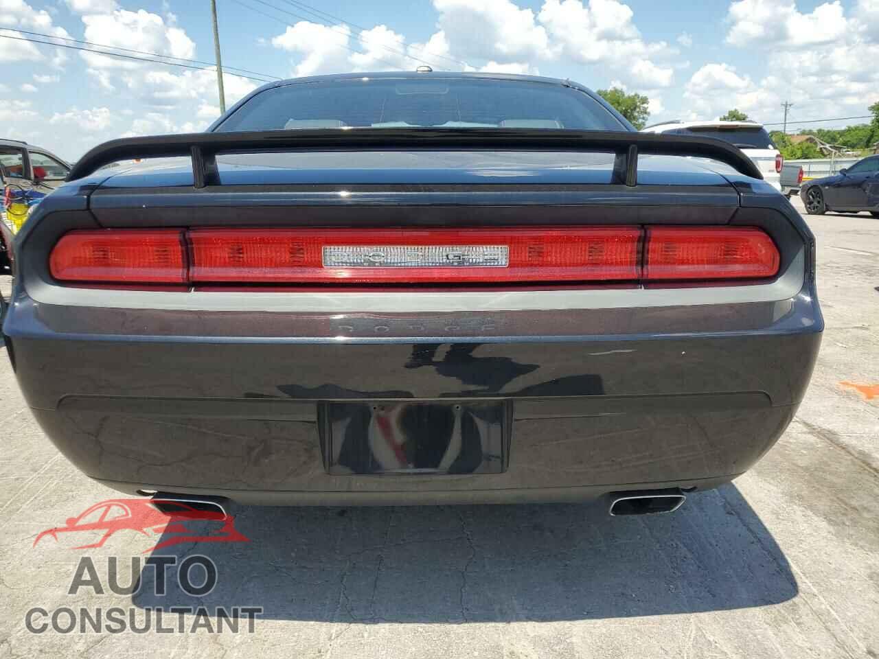 DODGE CHALLENGER 2010 - 2B3CJ5DT8AH314554