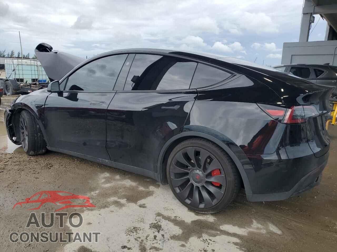TESLA MODEL Y 2024 - 7SAYGDEF7RF045702