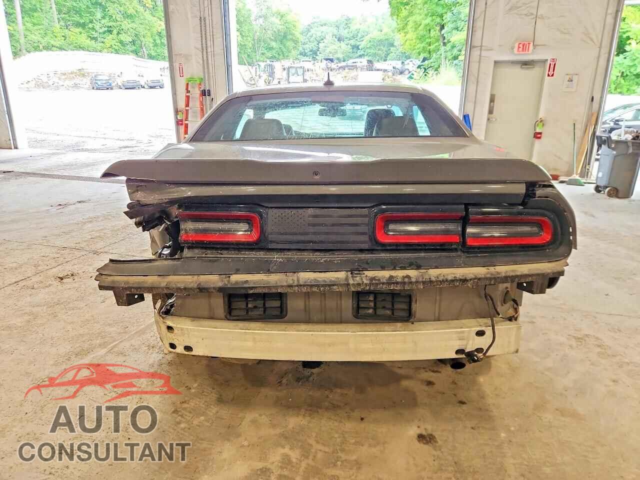 DODGE CHALLENGER 2019 - 2C3CDZKG2KH701092