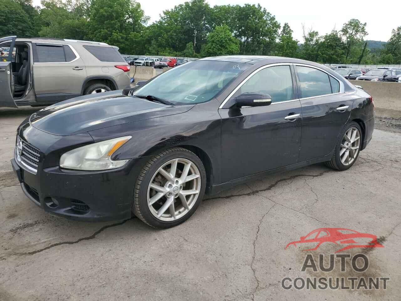 NISSAN MAXIMA 2010 - 1N4AA5AP2AC863785