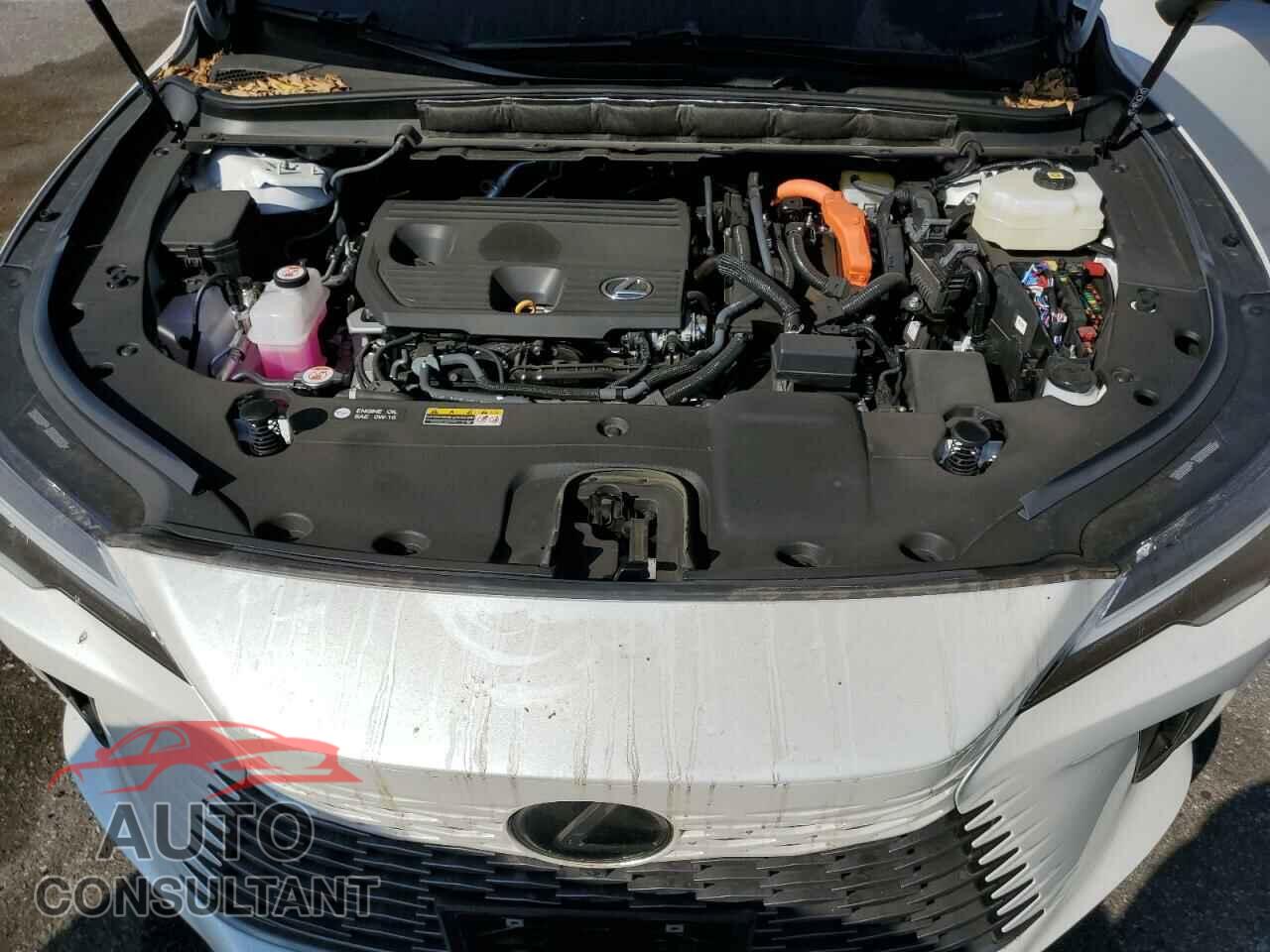 LEXUS RX 350H BA 2024 - 2T2BBMCA8RC028190