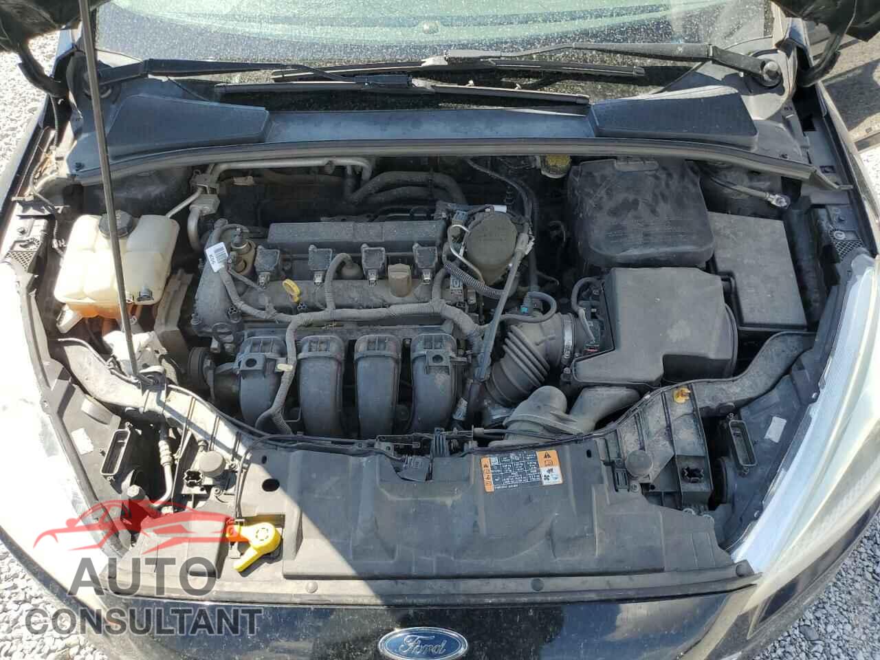 FORD FOCUS 2016 - 1FADP3F23GL271026