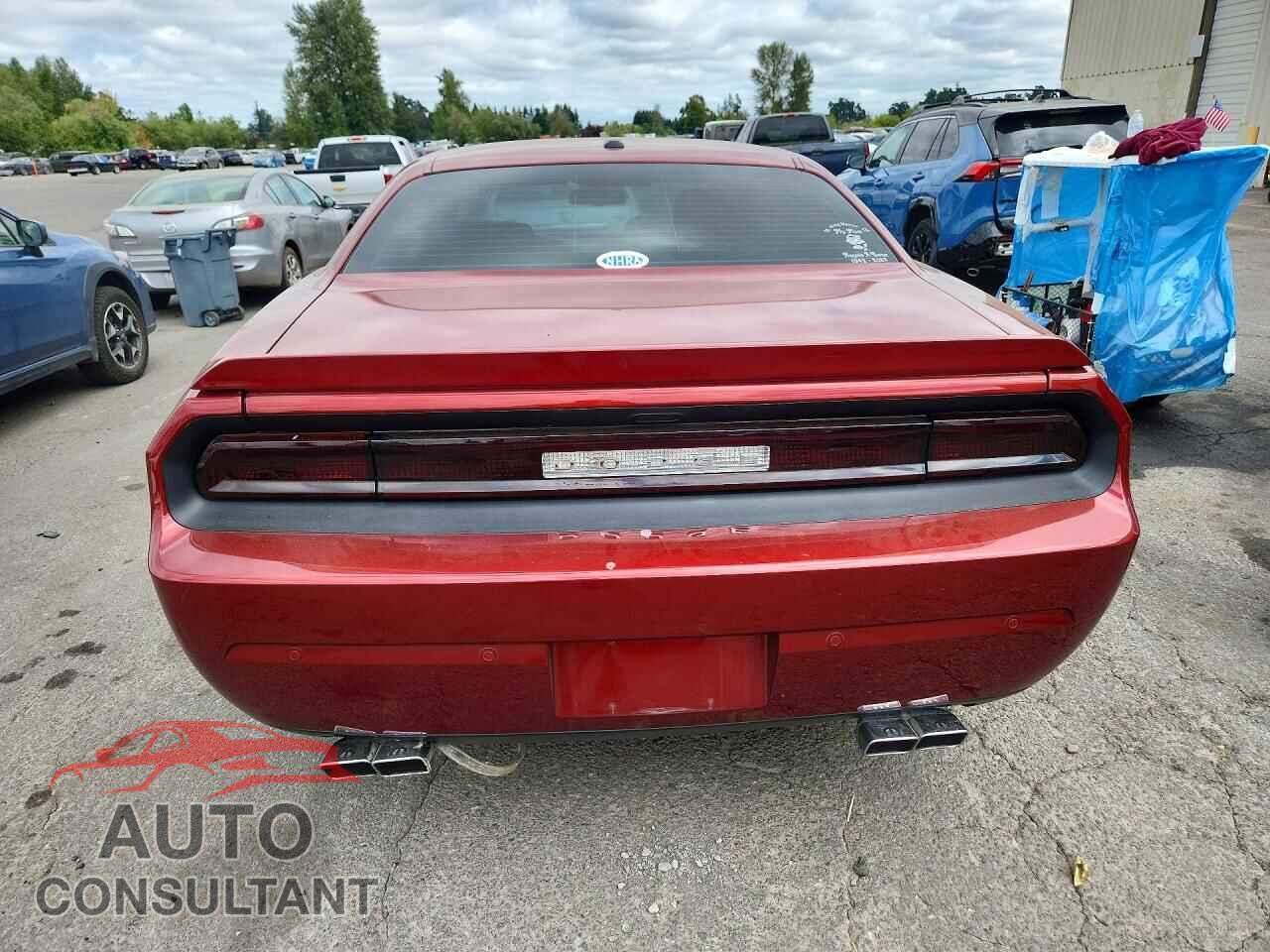 DODGE CHALLENGER 2014 - 2C3CDYBT1EH217989